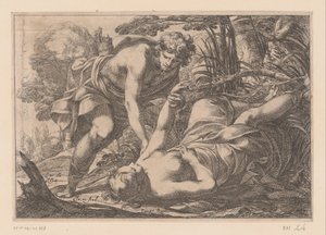 Apollo e Clytia
