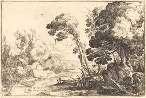 Paesaggio boscoso con un fiume
