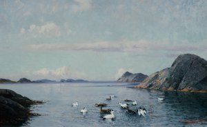 Costa meridionale con uccelli marini da Lauritz Haaland