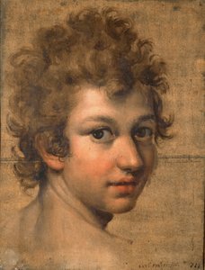 Ritratto di un ragazzo