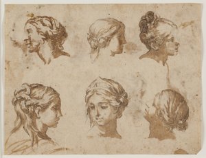 Sei studi di teste femminili