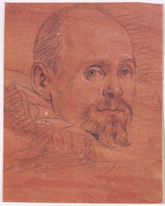 Ritratto di uomo da Lazzaro Tavarone