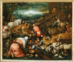 Animali che entrano nell
