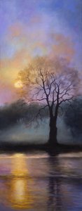 Bushy Park al Tramonto da Lee Campbell