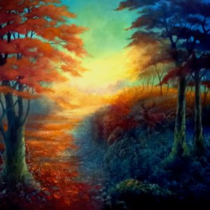 Luce della Foresta