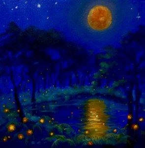 Luci Notturne
