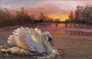 Cigno all