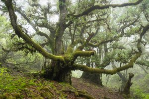 Terra dimenticata III, 2025 (foto) da Lee Cooper