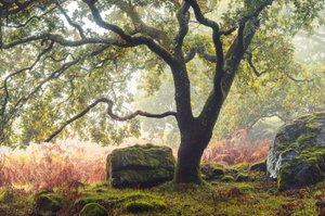 Terre dimenticate, 2024 (foto) da Lee Cooper