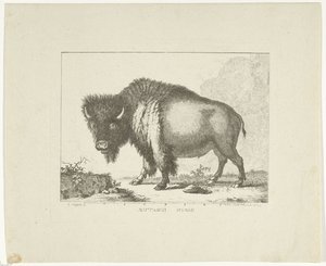 Bisonte da Leendert Brasser