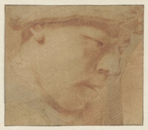 Testa di un ragazzo, verso destra da Leendert van der Cooghen (manner of)