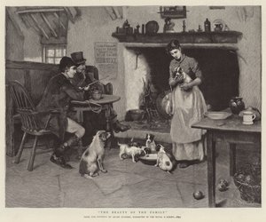 La bellezza della famiglia
