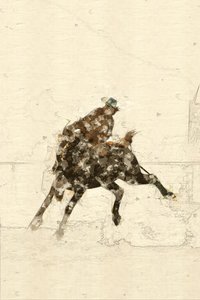 Cavaliere di bronco western