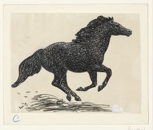 Cavallo al galoppo