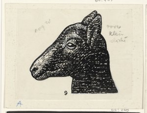 Testa di un agnello da Leo Gestel (signed by artist)