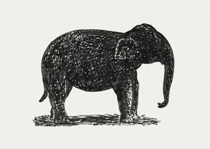 Elephant (circa 1891–1941)