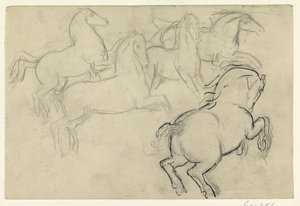 Cavalli al galoppo da Leo Gestel