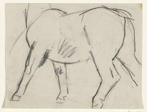 Corpo di un cavallo
