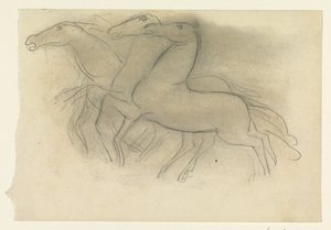 Cavalli al galoppo da Leo Gestel