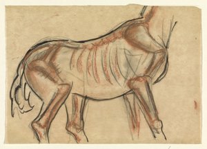 Scheletro di un cavallo da Leo Gestel