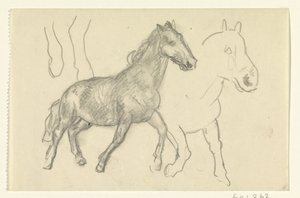 Due cavalli al passo da Leo Gestel