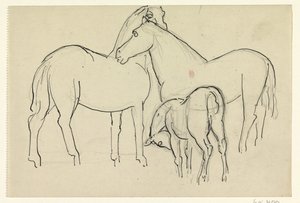 Due cavalli e un puledro da Leo Gestel