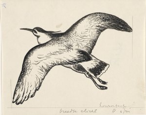 Uccello in volo da Leo Gestel