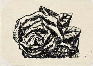 Senza titolo (rosa)