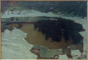 Lago di torbiera in inverno