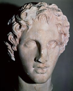 Testa di Alessandro Magno