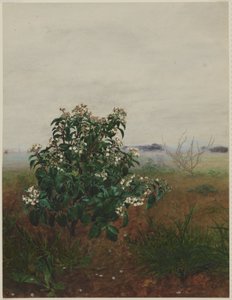  da Léon Bonvin