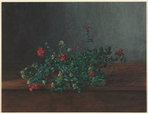 Natura Morta con Fiori di Campo da Léon Bonvin