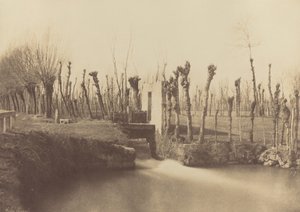 Paesaggio, Montebello, c. 1860 (foto) da Léon Gérard