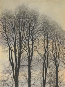 Albero nel cielo
