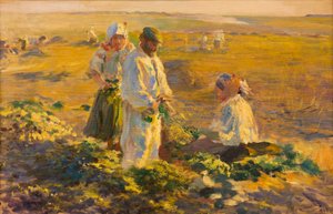 Raccolta delle Barbabietole da Leon Wyczolkowski