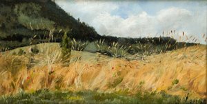 Campo di grano da Leon Wyczolkowski