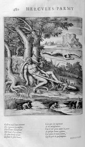 Ercole