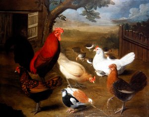 Scena di cortile con un gallo da Leonard Hubner