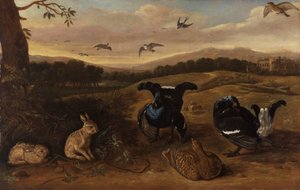 Selvaggina nera, conigli e rondini in un parco da Leonard Knyff