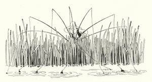 Indice delle Prime Linee