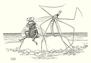 Il Papà Gambalunga e la Mosca da Leonard Leslie Brooke
