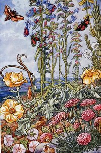 Illustrazione da 