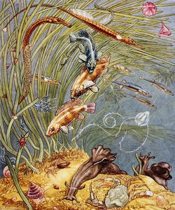 Illustrazione da 