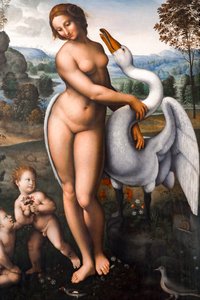 Leda e il cigno da Leonardo da (after) Vinci