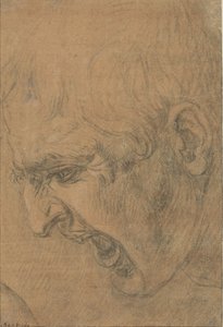 Testa di un uomo che urla da Leonardo da Vinci (follower of)