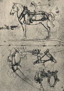 Un cavallo da tiro imbrigliato e studi di imbracatura, c1480 da Leonardo da Vinci