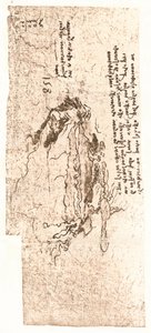 Mappa rappresentante il Mar Mediterraneo, c1472-c1519 1883 da Leonardo da Vinci