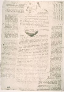 Studi di anatomia
