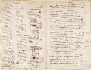 Testi brevi delle profezie di Leonardo (