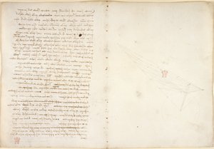 Arundel 263, f.57v, f.46 Note sull